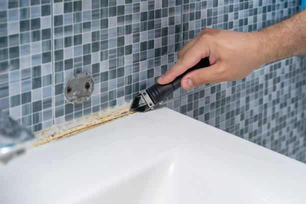 Best Certified Mold Removal  in California, PA